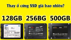 ssd gia bao nhieu
