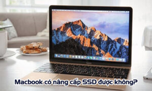 Macbook co nang cap ssd duoc khong
